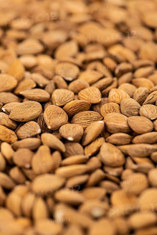Detailed Apricot Kernel shot for use background or as texture