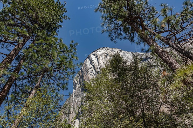 El Capitan in Yosemite National Park, California, USA, North America