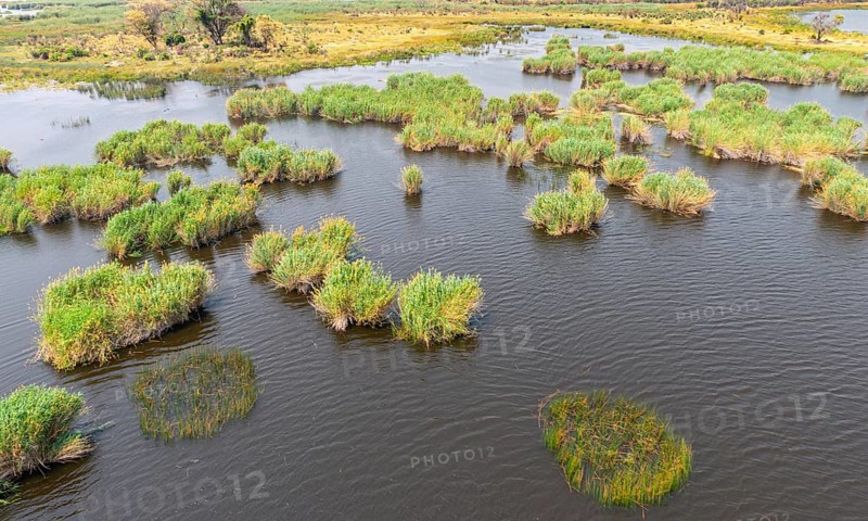 Helicopter Safari at the Okavango Delta, Botswana during a nice and sunny day