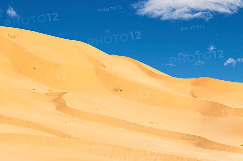 Jeep safari in the beautiful Omani Rub al-Chali Desert