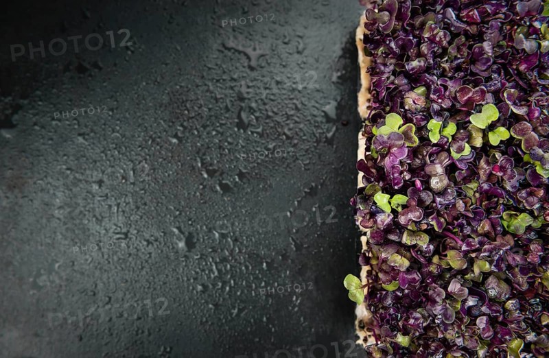 Cress on a vintage slate slab (close-up shot, selective focus)