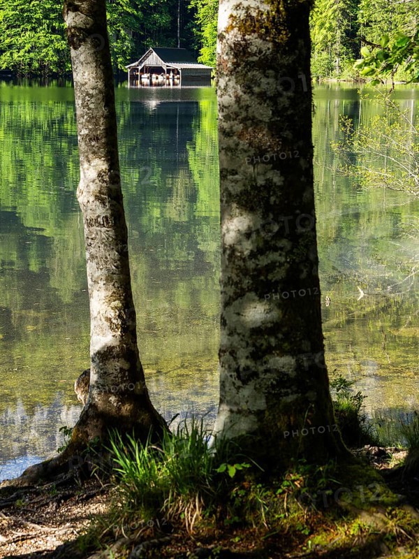 Morning atmosphere, reflection, boathouse at the Toplitzsee, Salzkammergut, Styria, Austria, Europe