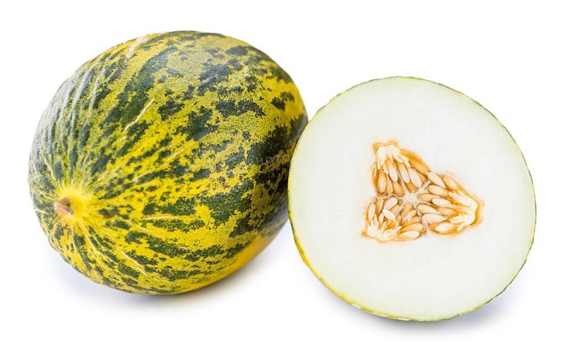 Futuro Melons isolated on white background (selective focus, close-up shot)