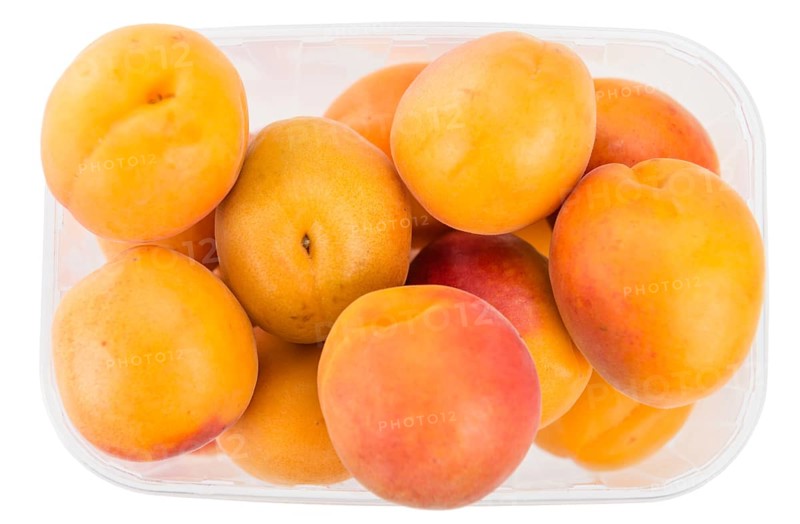 Apricots isolated on white background (selective focus, close-up shot)