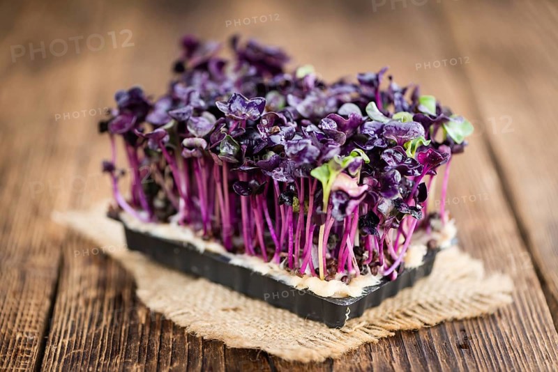 Portion of homemade Cress on wooden background (selective focus, close-up shot)