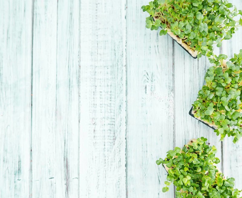 Fresh Cress as high detailed close-up shot on a vintage wooden table (selective focus)