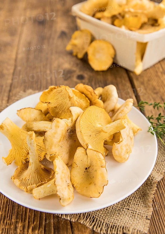 Fresh harvested Chanterelles (on a wooden table) as detailed close-up shot