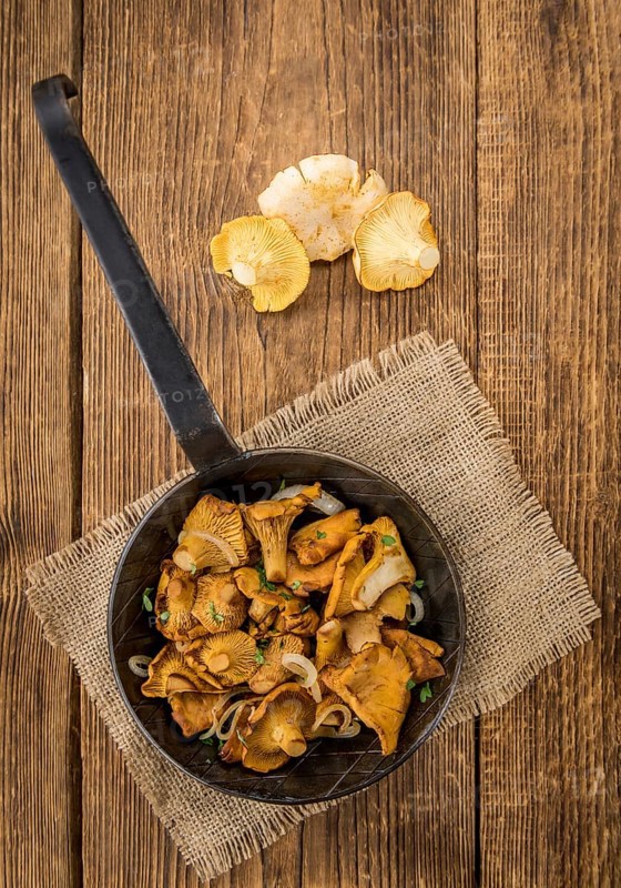 Portion of fresh Fried Chanterelles close-up shot, selective focus