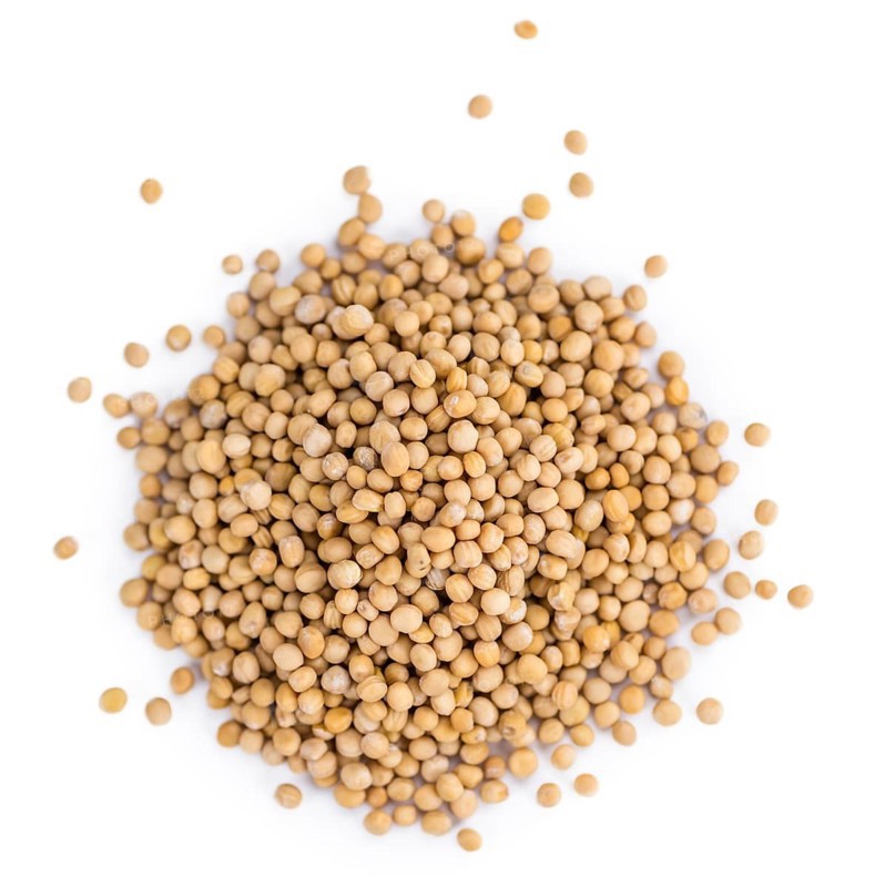 Mustard Seeds isolated on white background (selective focus, close-up shot)