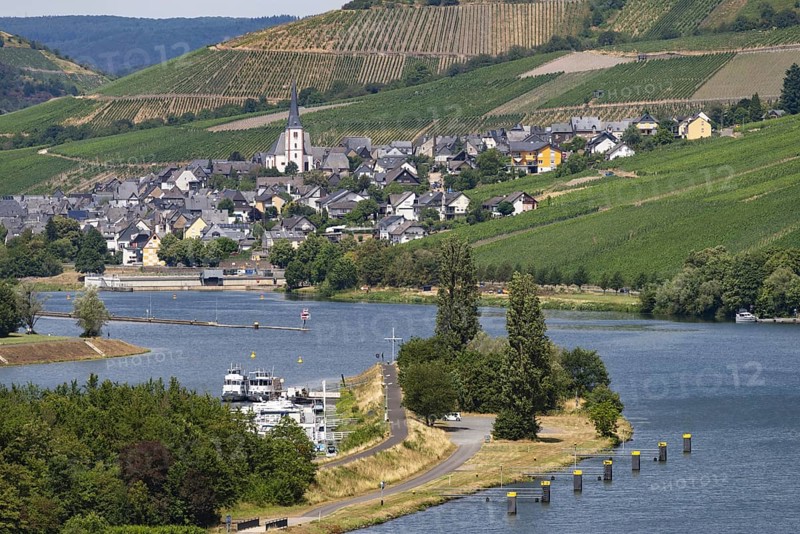 The wine village of Enkirch on the Moselle, Berncastel-Wittlich district, Rhineland-Palatinate, Germany, Europe