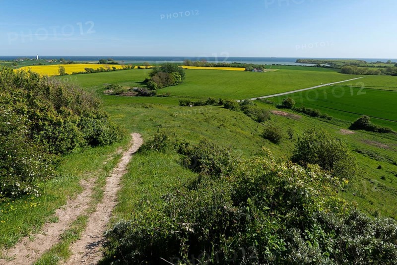 View from Hatbakken Fakkebjerg, Bagenkop, Langeland, agriculture, rape cultivation, path, Funen County, Geopark South Funen Baltic Sea, Det Sydynske Ohav, Denmark, Europe