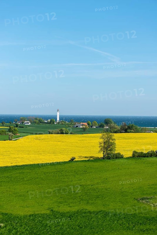 View from Hatbakken Fakkebjerg, Bagenkop, Kelsnor, Langeland, agriculture, rape cultivation, lighthouse Keldsnor, Amt Fünen, Geopark South Funen Baltic Sea, Det Sydynske Ohav, Denmark, Europe