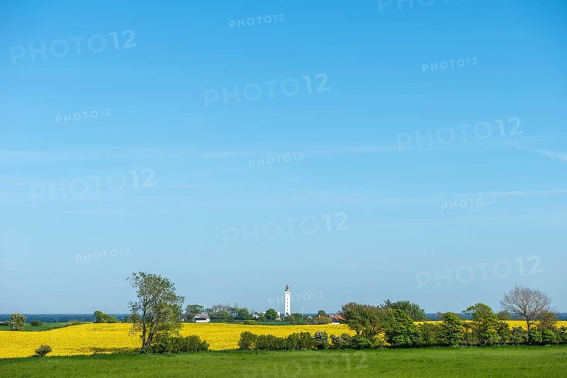 View from Hatbakken Fakkebjerg, Bagenkop, Kelsnor, Langeland, agriculture, rape cultivation, lighthouse Keldsnor, Amt Fünen, Geopark South Funen Baltic Sea, Det Sydynske Ohav, Denmark, Europe