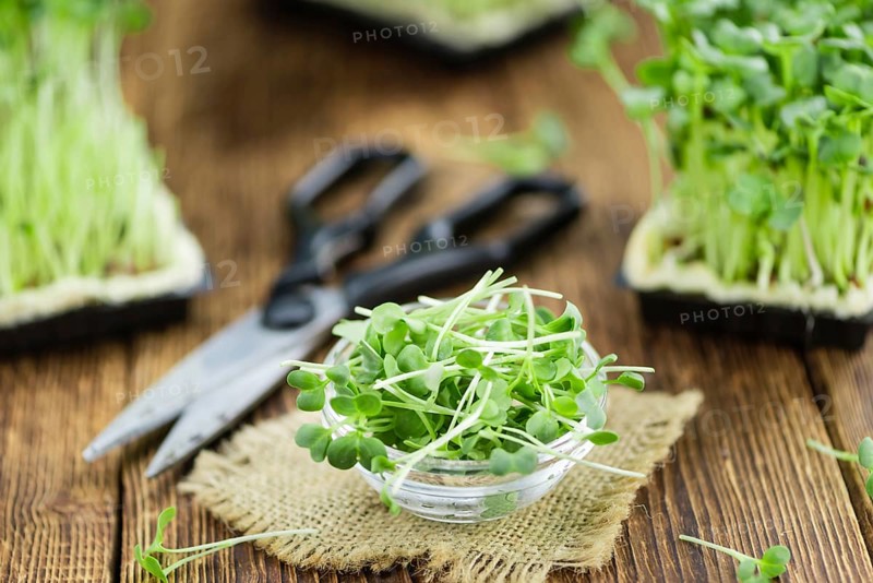 Cutted Cress on a vintage background as detailed close-up shot (selective focus)