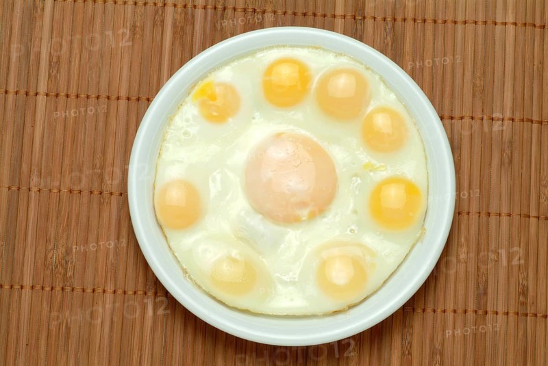 Food, quail eggs, quail egg, Coturnix coturnix, prepared as fried eggs, in the centre a hen's egg in size comparison