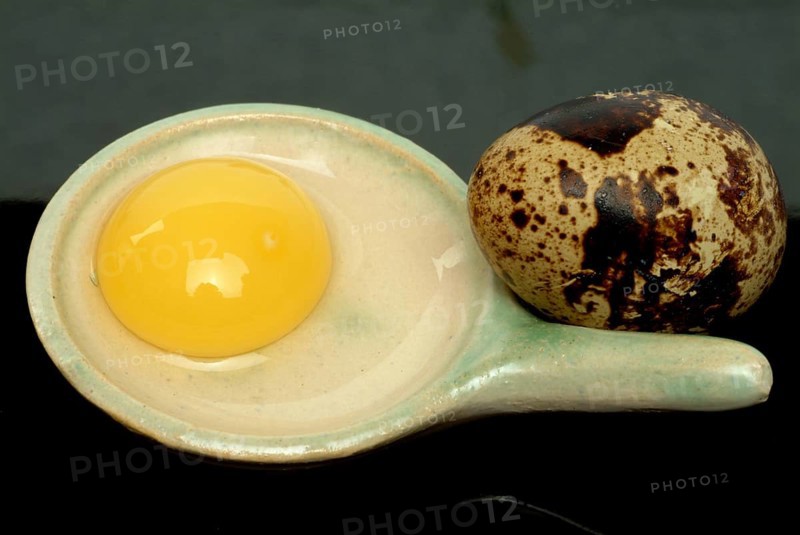 Food, quail eggs, quail egg, yolk and egg white, Coturnix coturnix