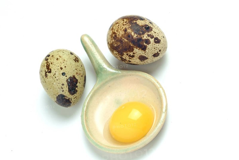 Food, quail eggs, cracked quail egg, Coturnix coturnix