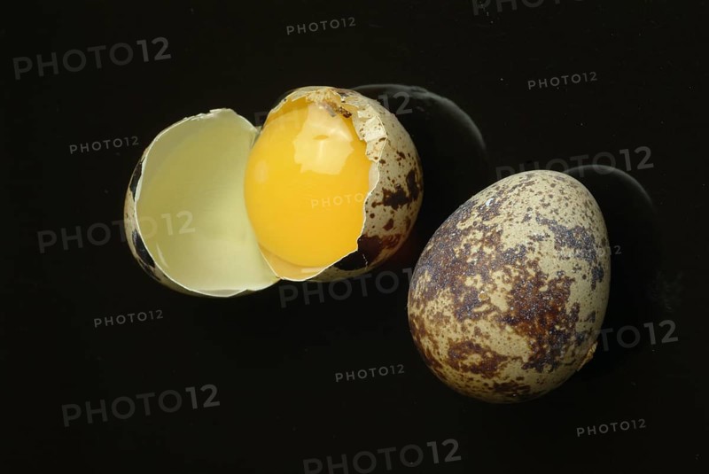 Food, quail eggs, cracked quail egg, Coturnix coturnix