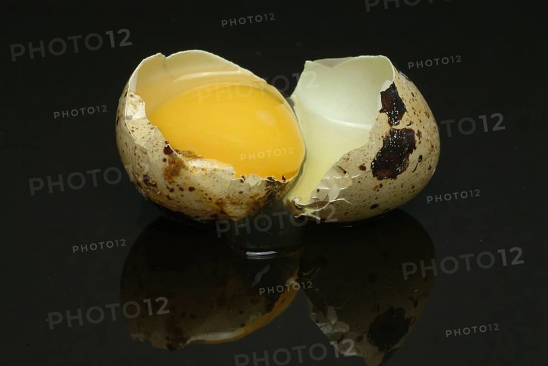 Food, quail eggs, cracked quail egg, Coturnix coturnix