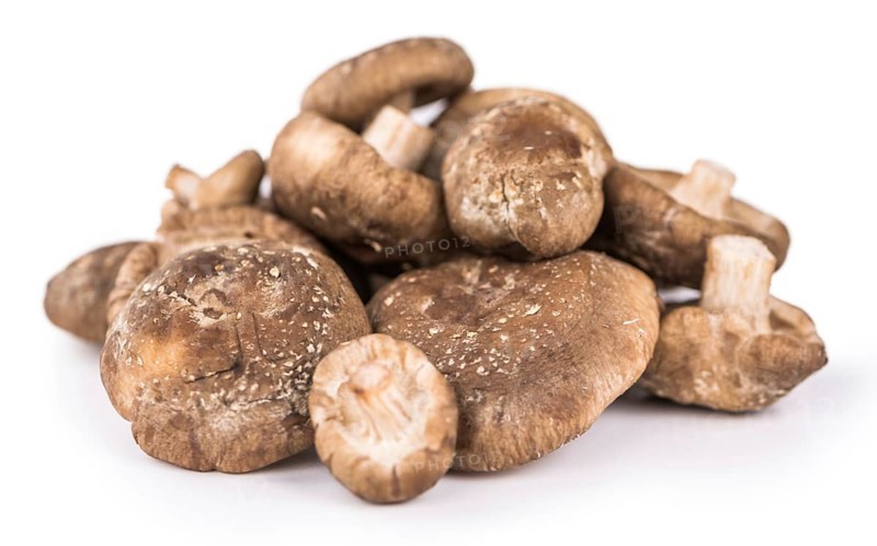 Portion of Shiitake mushrooms as detailed close-up shot isolated on white background