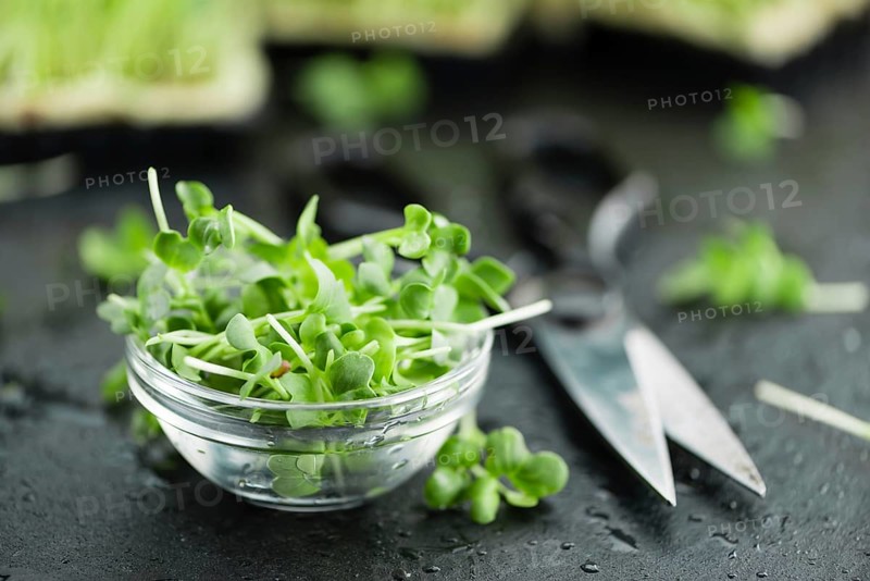 Portion of Cress as detailed close up shot on a slate slab (selective focus)