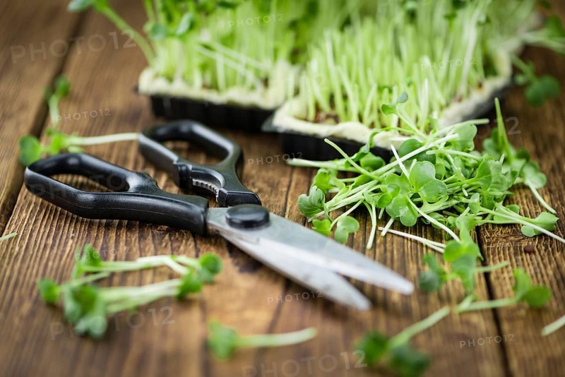 Fresh cutted Cress as high detailed close-up shot on a vintage wooden table (selective focus)