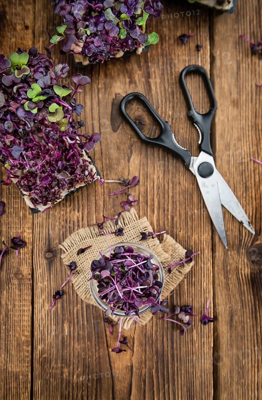 Cutted Cress on a vintage background as detailed close-up shot (selective focus)