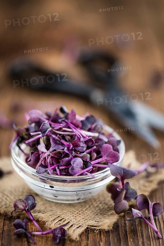 Cutted Cress on a vintage background as detailed close-up shot (selective focus)