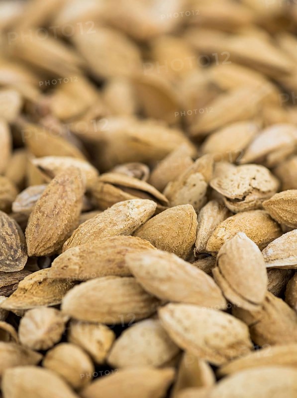 Roasted Almonds (in shell) as full size background image (selective focus)