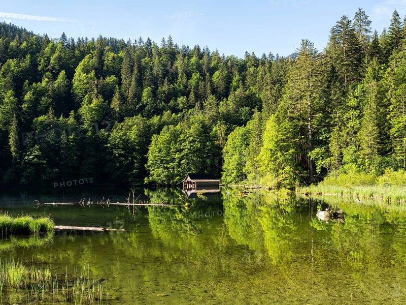 Morning atmosphere, reflection, boathouse at the Toplitzsee, Salzkammergut, Styria, Austria, Europe