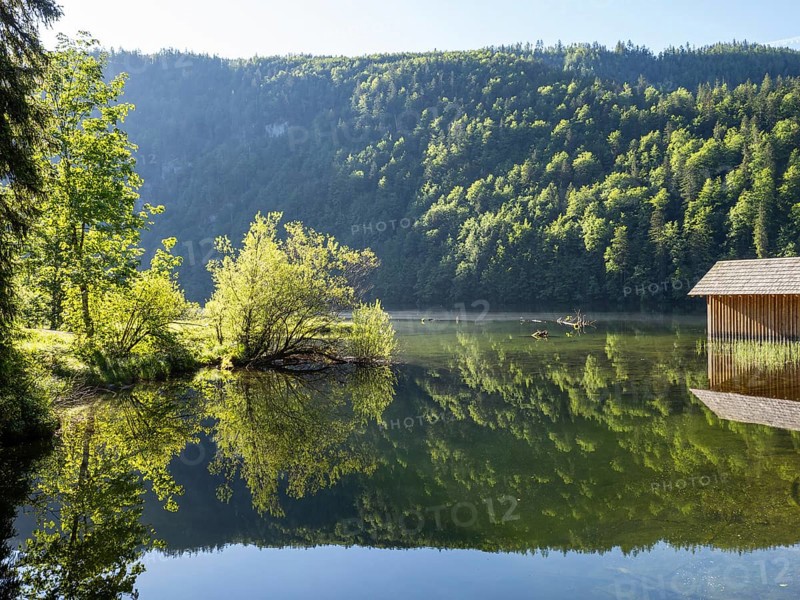 Morning atmosphere, reflection, Toplitzsee, Salzkammergut, Styria, Austria, Europe
