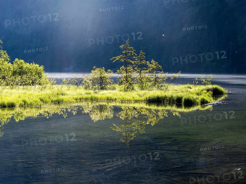 Morning atmosphere, reflection, Toplitzsee, Salzkammergut, Styria, Austria, Europe