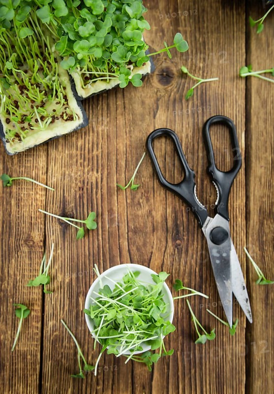 Fresh cutted Cress as high detailed close-up shot on a vintage wooden table (selective focus)