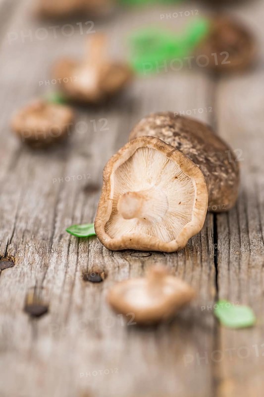 Raw Shiitake mushrooms as high detailed close-up shot on a vintage wooden table, selective focus