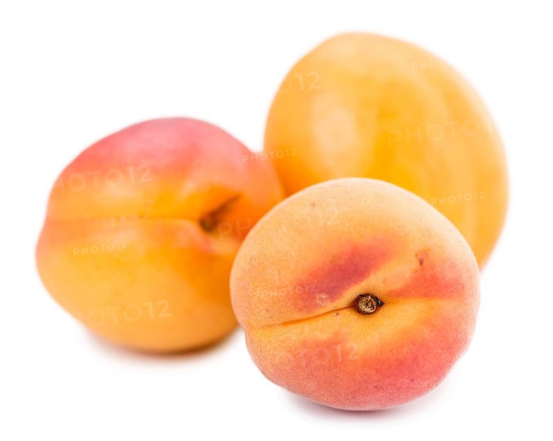 Portion of Apricots (as close-up shot) isolated on white background