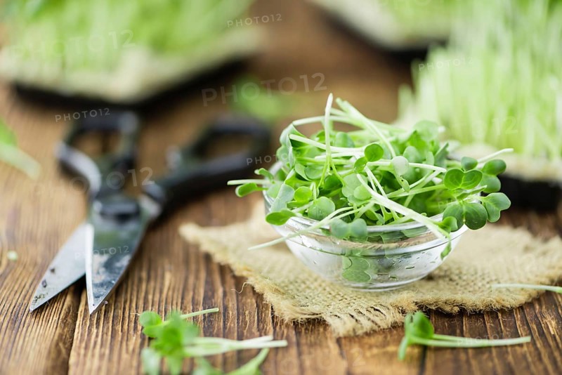 Fresh cutted Cress as high detailed close-up shot on a vintage wooden table (selective focus)