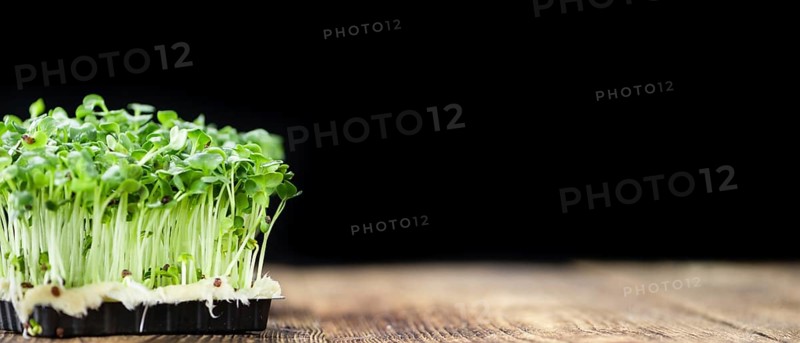 Cress on a vintage background as detailed close-up shot (selective focus)