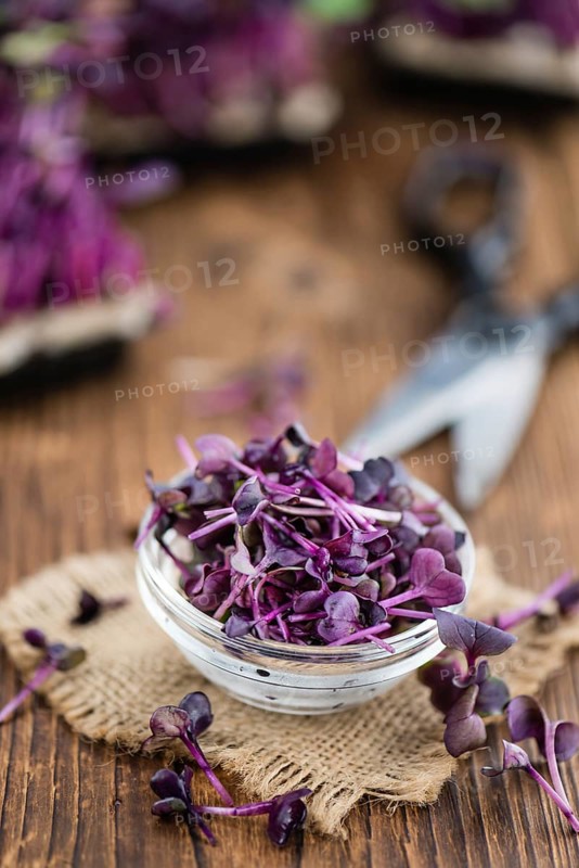 Fresh cutted Cress as high detailed close-up shot on a vintage wooden table (selective focus)