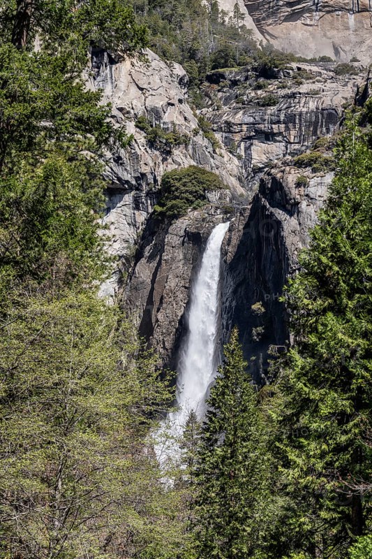 Lower Yosemite Falls at a sunny day