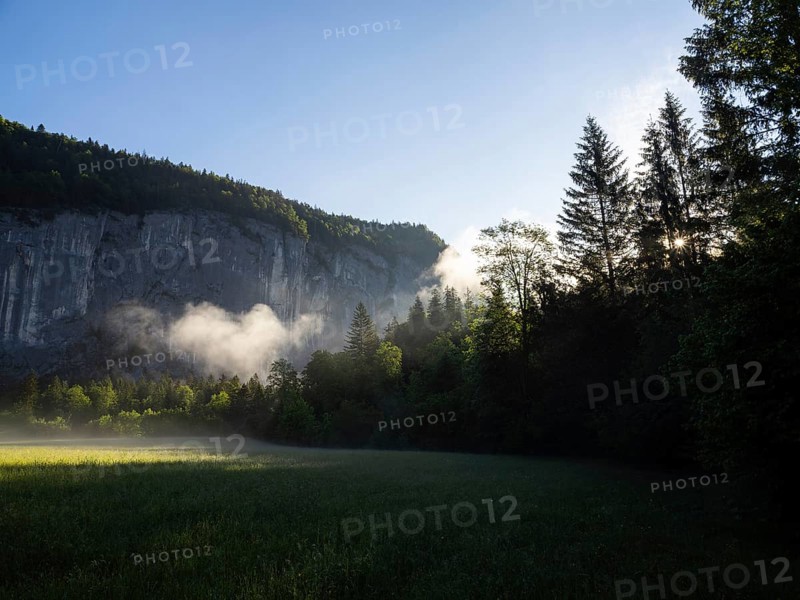 Morning atmosphere at sunrise, early morning fog over a meadow, behind the Gössler Wand, panoramic shot, Gössl, Salzkammergut, Styria, Austria, Europe
