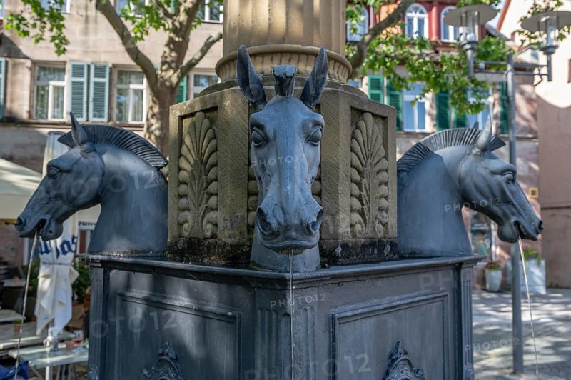 Gaulsbrunnen, erected in 1823 on the Königsplatz, Schwabach, Middle Franconia, Bavaria, Germany, Europe