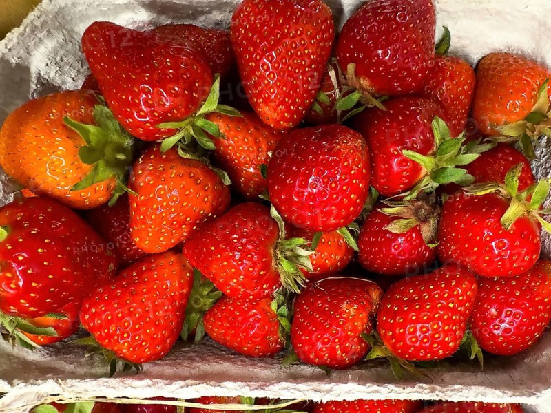 Fresh strawberries (Fragaria) fresh fruit for healthy eating on display from fruit merchants grocers greengrocers retail wholesalers, international