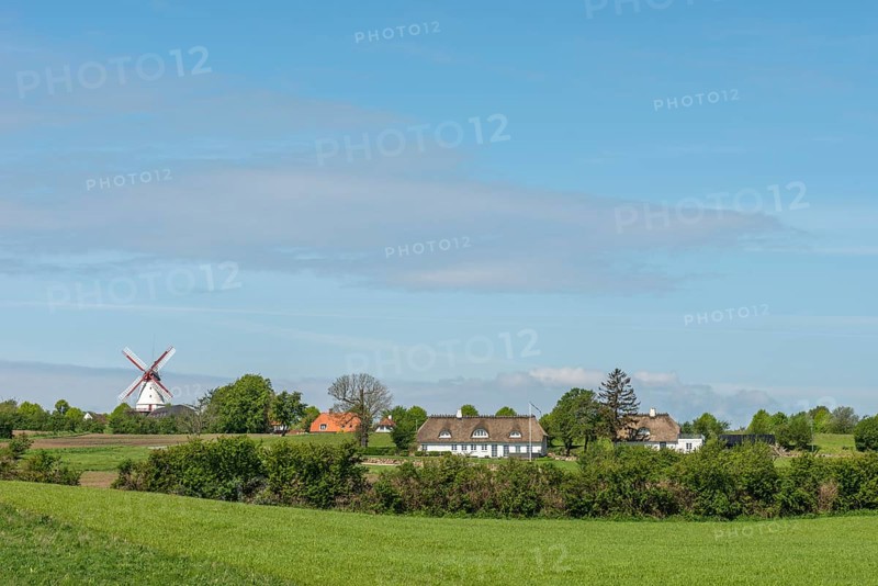 Dybbol Molle, Düppel Mill, German-Danish War Memorial 1864, thatched house, landscape, hilly Sonderburg, South Jutland, Denmark, Europe