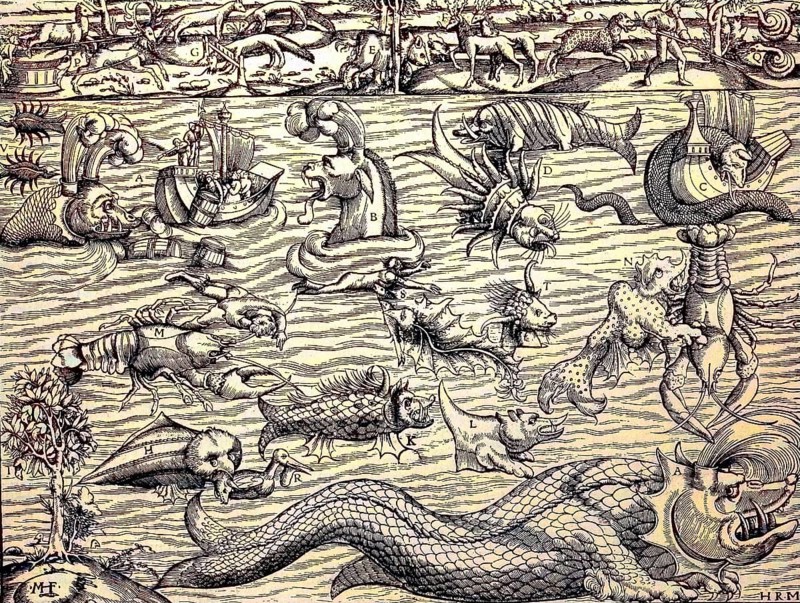 The wonder of the sea and its creatures, facsimile from Sebastian Münster's Cosmography, 1550, digital reproduction of an original from the 19th century, original date unknown