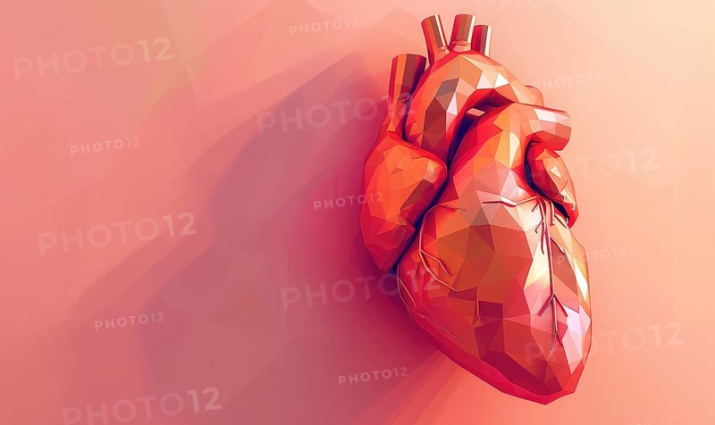 Low poly style illustration of a human heart on pink background AI generated