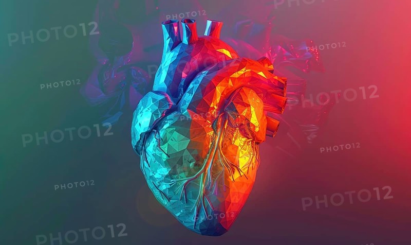 Low poly style illustration of a human heart on red background AI generated