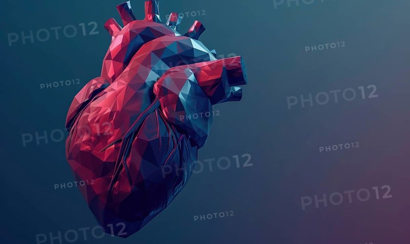 Low poly digital heart with red and blue colors on a gradient background AI generated
