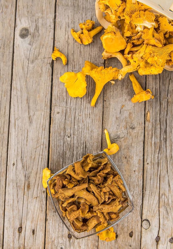 Canned chanterelles on a vintage background as detailed close-up shot, selective focus
