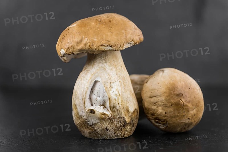 Porcinis on a vintage background (close-up shot, selective focus)