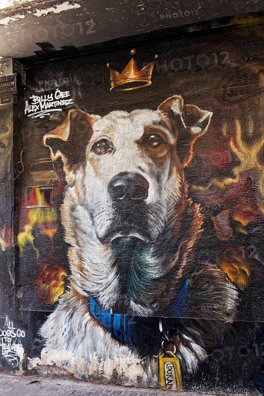 Portrait dog Lukanikos, street dog from the times of the Greek sovereign debt crisis, mural by Billy Gee & N Grams & Alex Martinez, Psirri neighbourhood, Athens, Greece, Europe